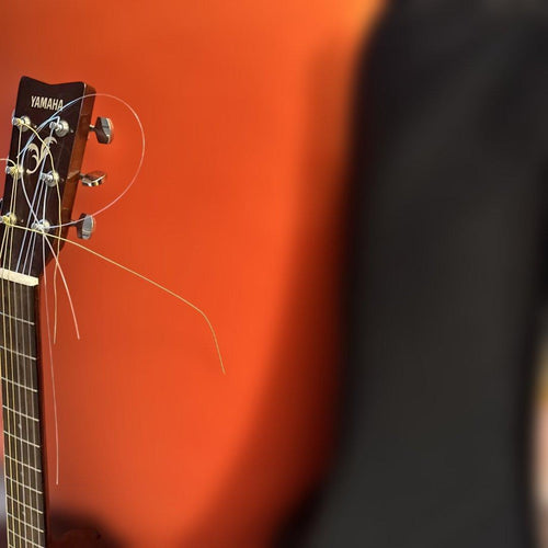 Yamaha Acoustic Guitars F-330J