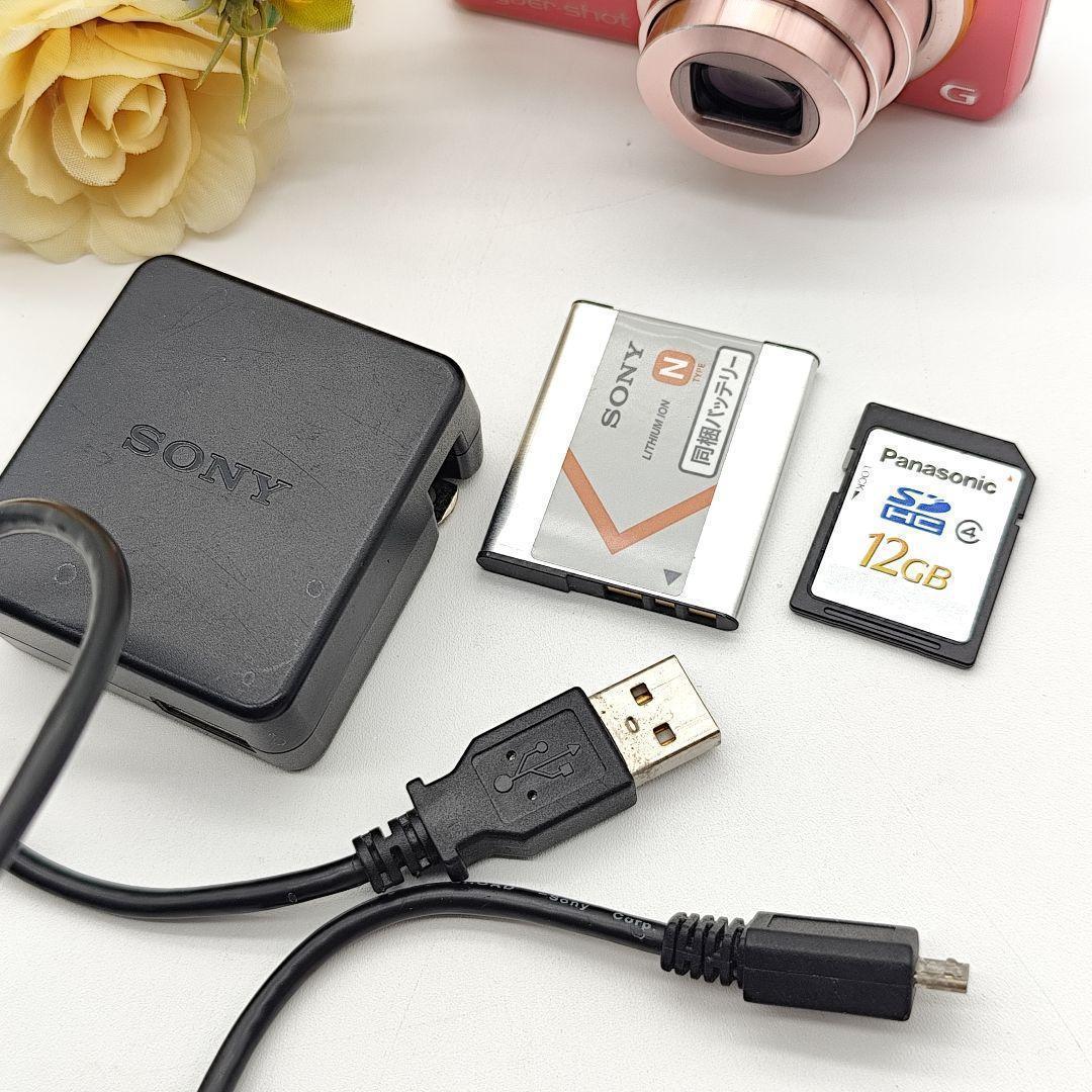 Sony Compact Digital Cameras Cyber-Shot Dsc-Wx100 10