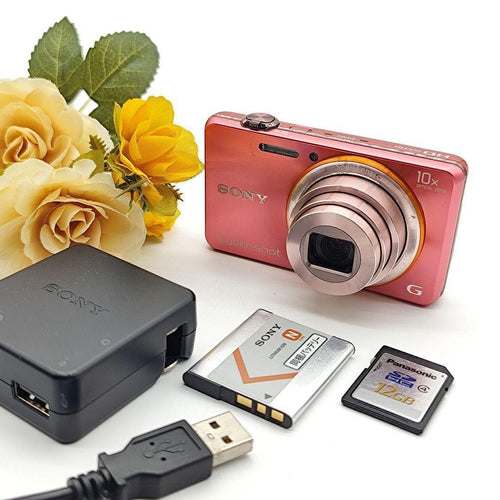 Sony Compact Digital Cameras Cyber-Shot Dsc-Wx100 10