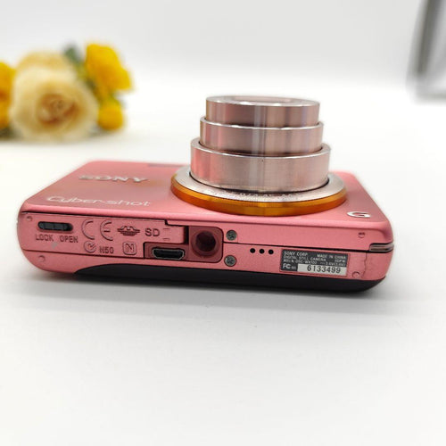 Sony Compact Digital Cameras Cyber-Shot Dsc-Wx100 10