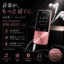 Sony Digital Audio Player S 4Gbnw-S313:Mp3 Bluetooth 52 2017 Nw-S313Pi