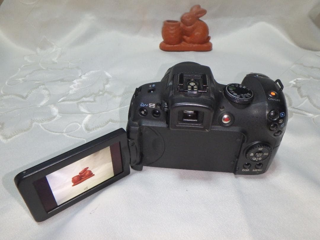 Canon Compact Digital Cameras Powershot Sx1Is