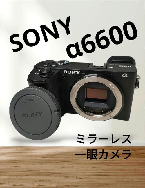 Sony Mirrorless Interchangeable Lens Cameras 6600 Ilce