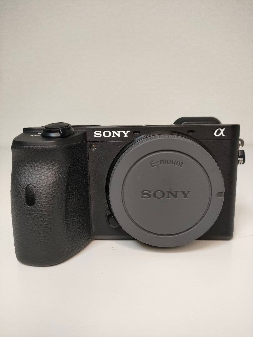 Sony Mirrorless Interchangeable Lens Cameras 6600 Ilce