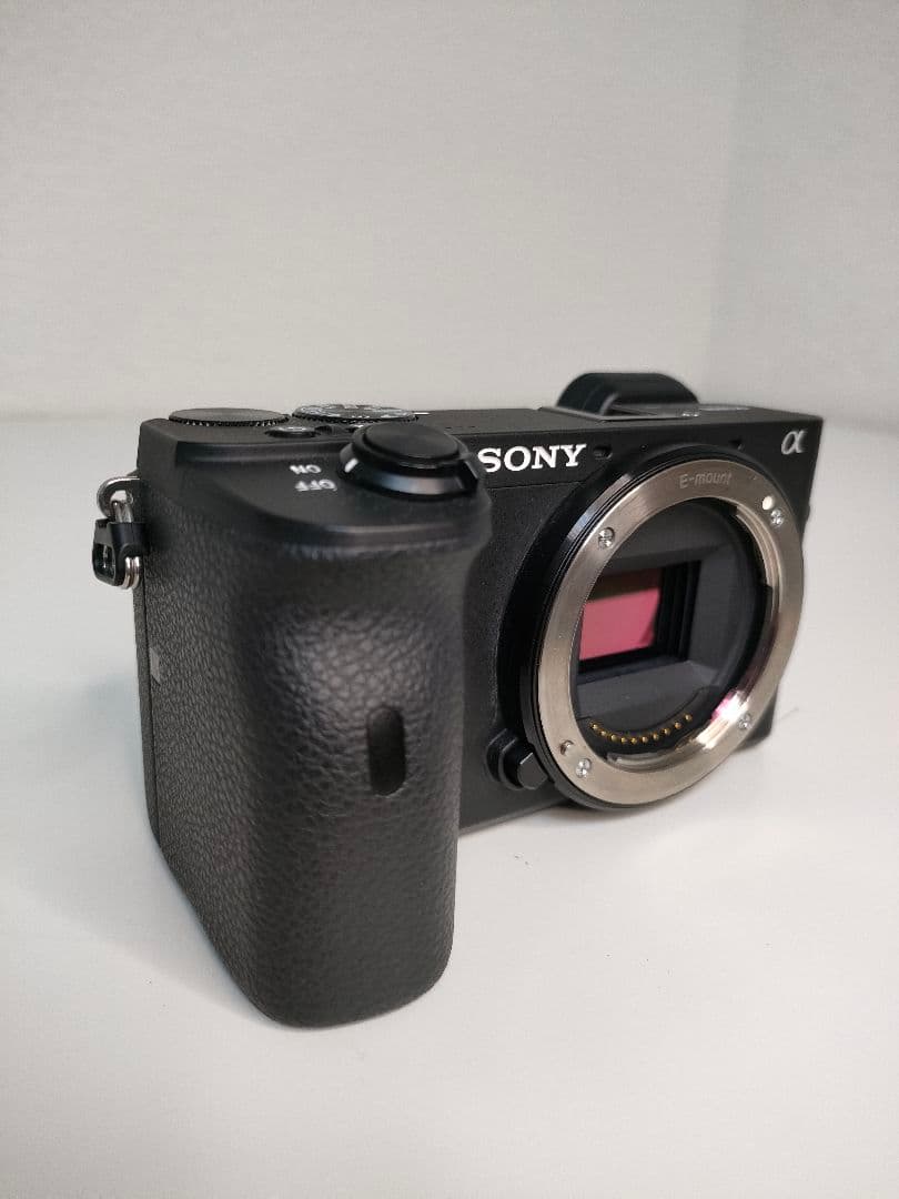 Sony Mirrorless Interchangeable Lens Cameras 6600 Ilce