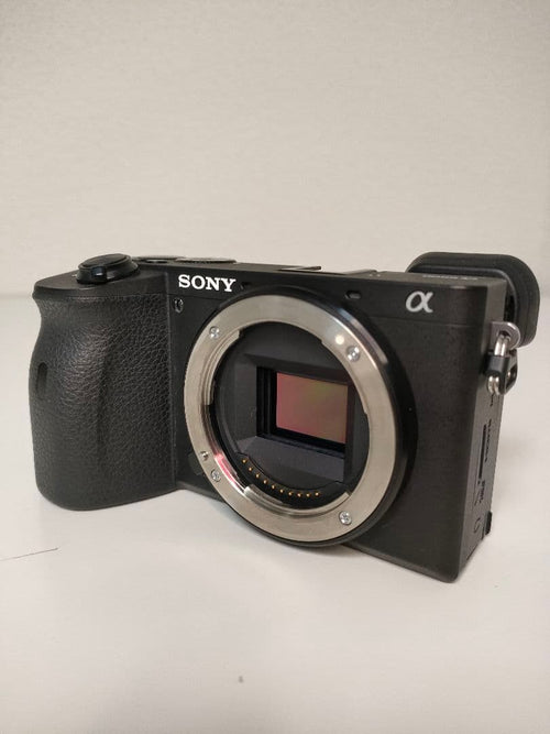 Sony Mirrorless Interchangeable Lens Cameras 6600 Ilce