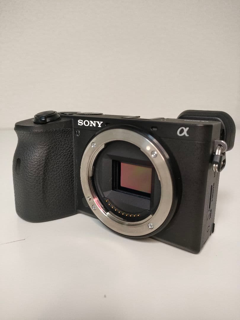 Sony Mirrorless Interchangeable Lens Cameras 6600 Ilce