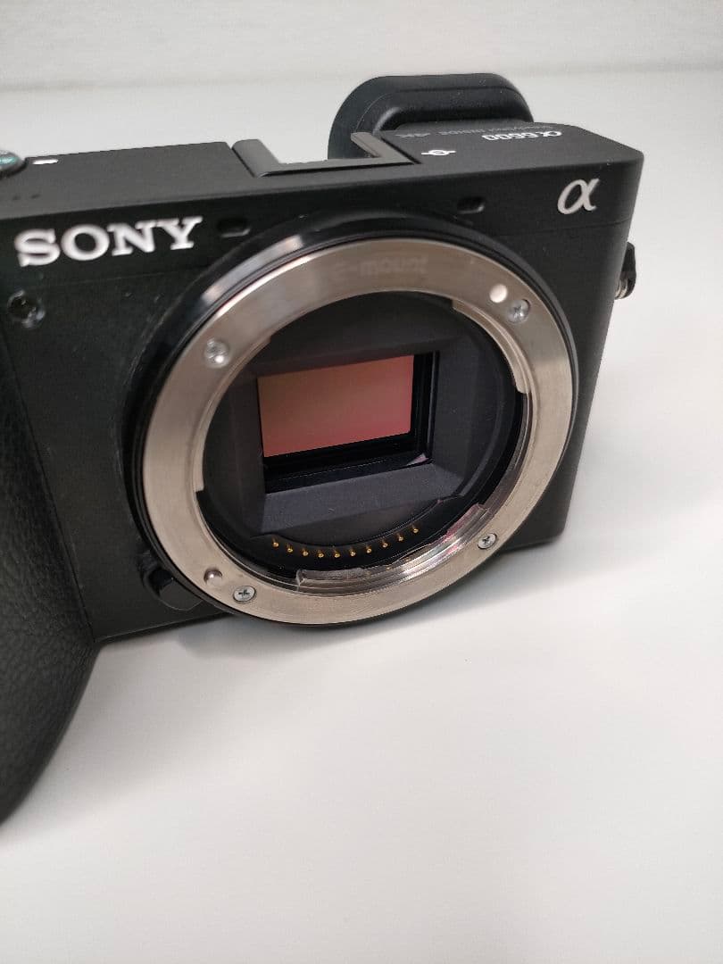 Sony Mirrorless Interchangeable Lens Cameras 6600 Ilce