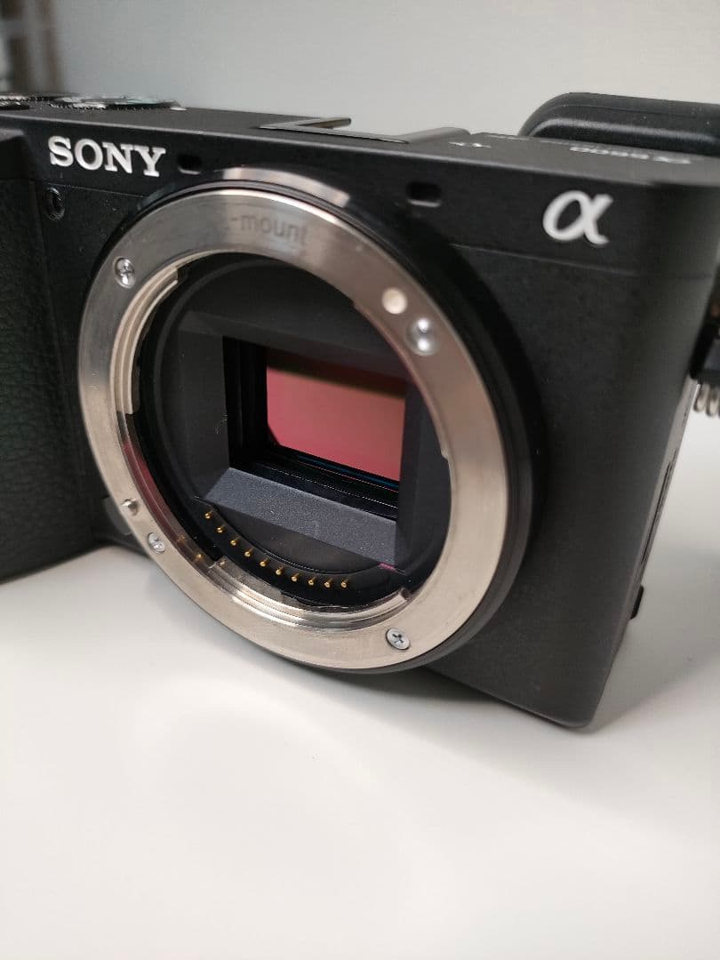 Sony Mirrorless Interchangeable Lens Cameras 6600 Ilce