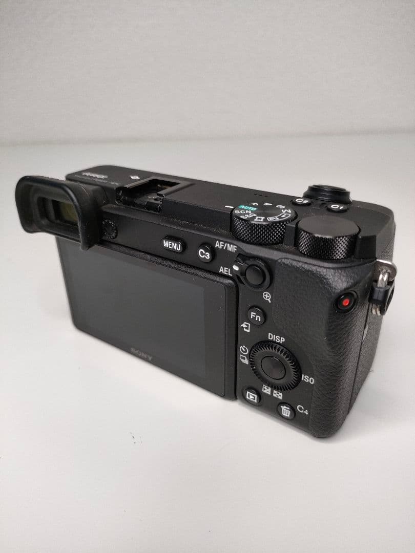 Sony Mirrorless Interchangeable Lens Cameras 6600 Ilce