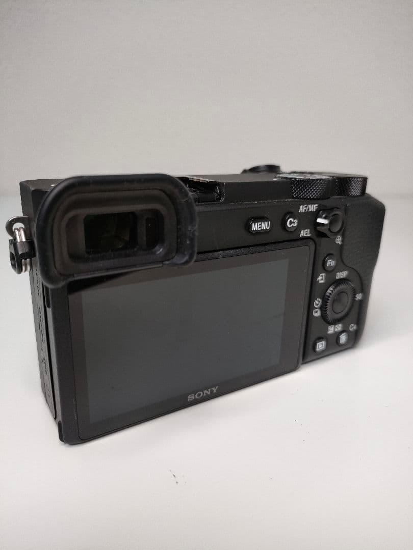 Sony Mirrorless Interchangeable Lens Cameras 6600 Ilce