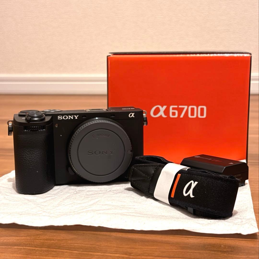 Sony Mirrorless Interchangeable Lips 6700