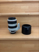 Canon Lens (Zoom) Ef70-300 F4-5.6L Is Usm