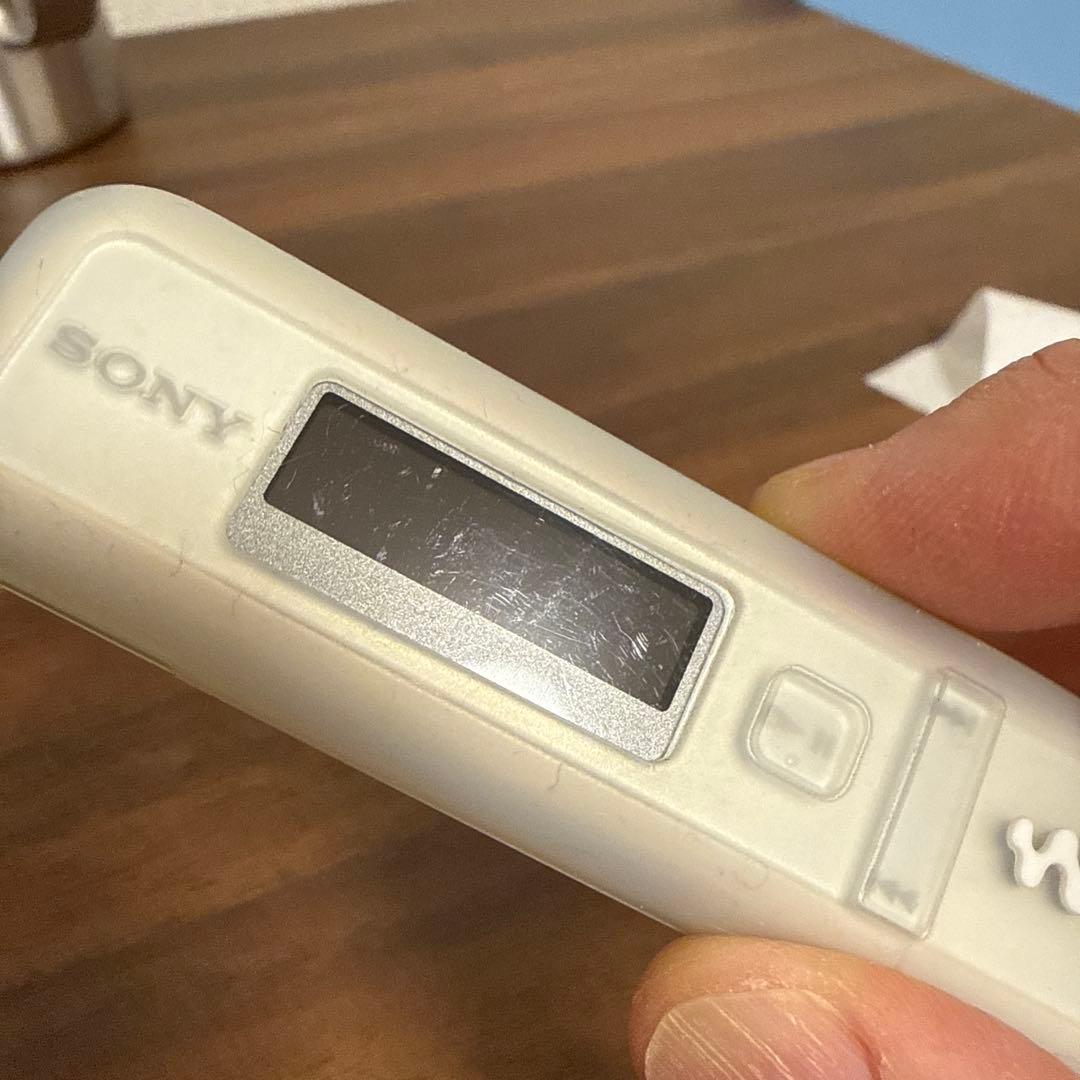 Sony Digital Audio Player Walkman