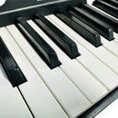 Keyboard Electronic Piano Korg B1