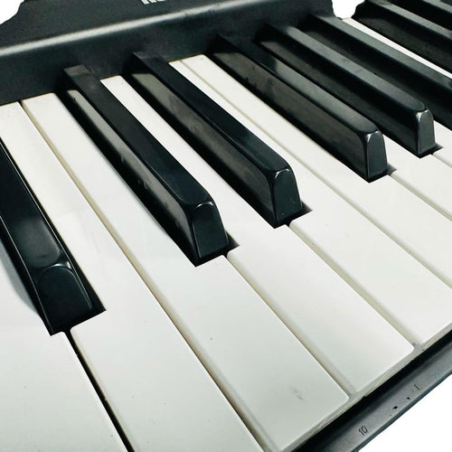 Keyboard Electronic Piano Korg B1