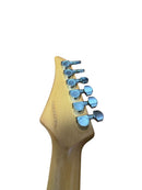 Yamaha Electric Guitars Ygx 112P