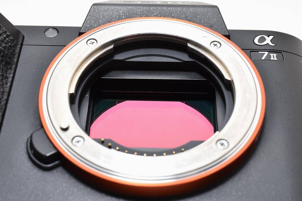 Mirrorless Interchangeable Lips 9,778 Sony 7 Ii Ilce-7M2 Ym9827 50