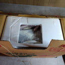 Fujifilm Others M17
