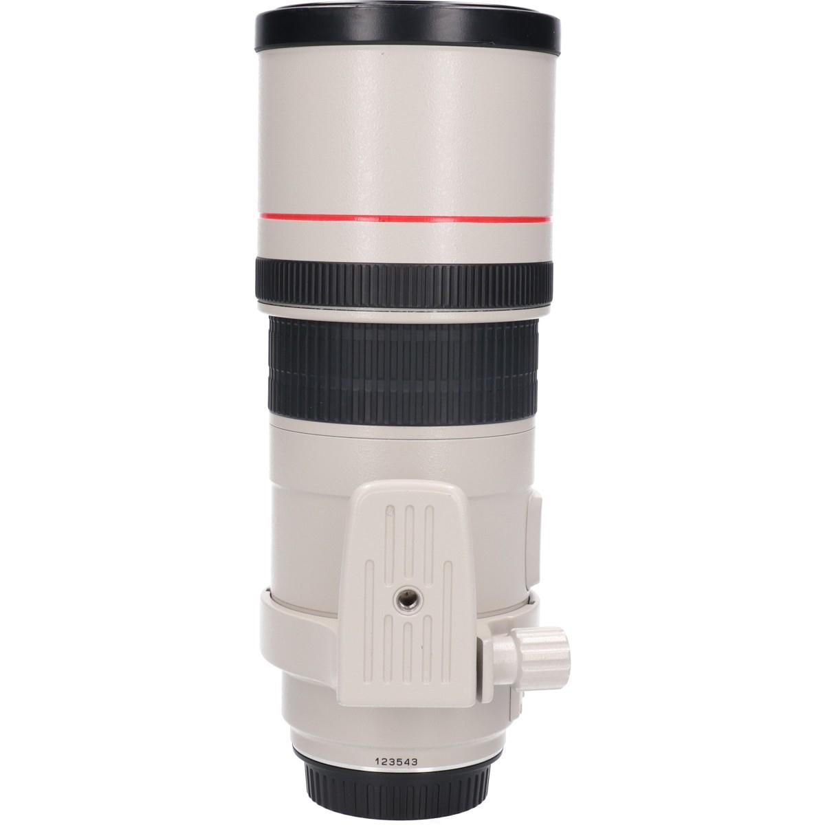 Canon Lens (Single Focus)