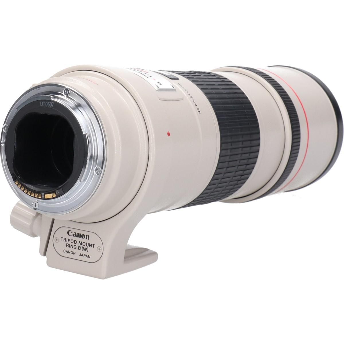 Canon Lens (Single Focus)