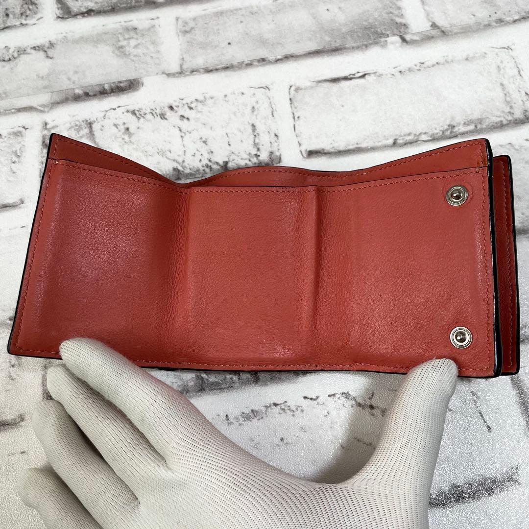 Loewe Caltical Wallet