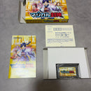 Soft Gba