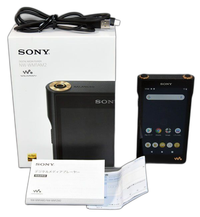 Sony Digital Audio Player Nw-Wm1Am2