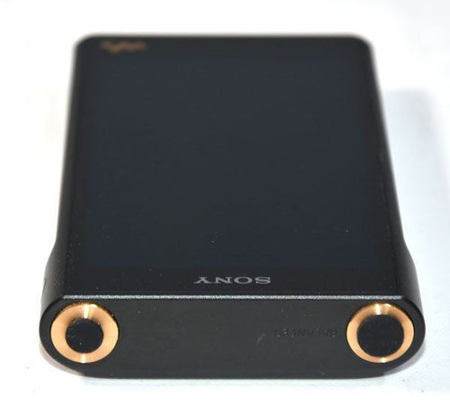 Sony Digital Audio Player Nw-Wm1Am2