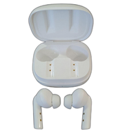 Denon Wireless Earphone Ah-C840Ncw