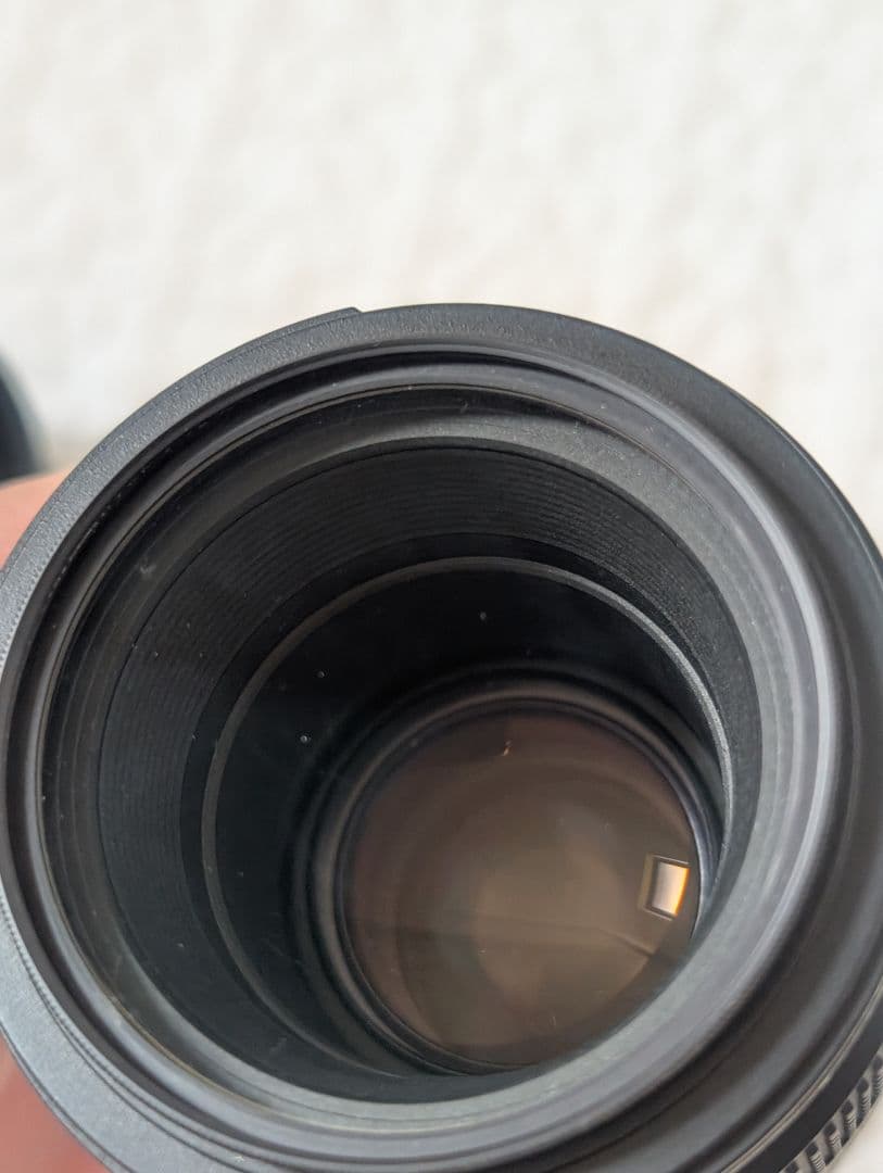 Nikon Digital Slrs D750