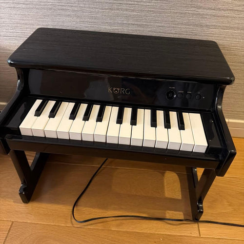 Korg Educational Toys 25