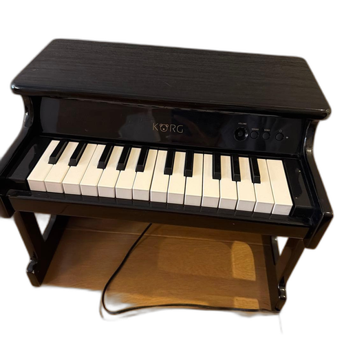 Korg Educational Toys 25
