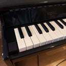 Korg Educational Toys 25