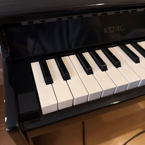 Korg Educational Toys 25