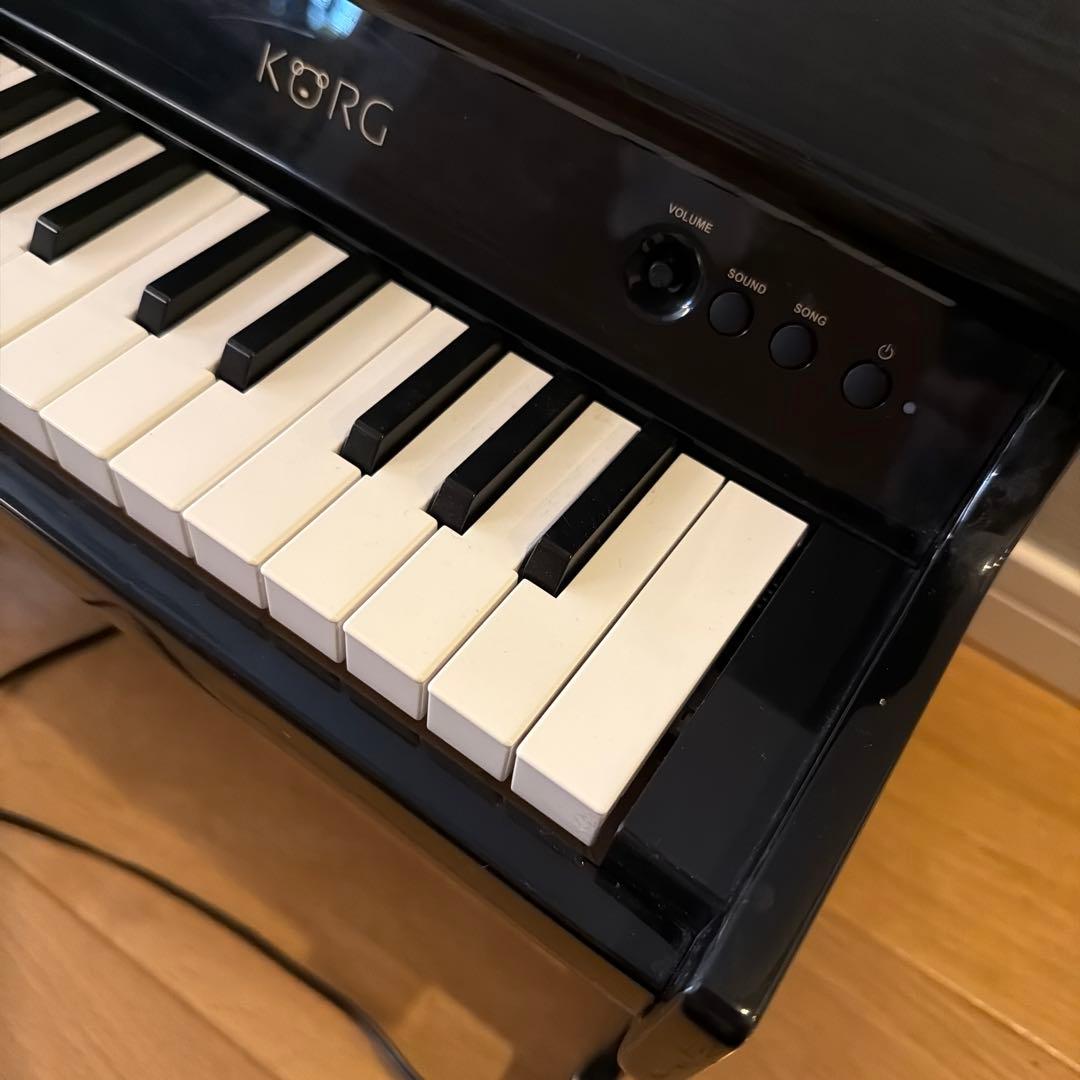 Korg Educational Toys 25