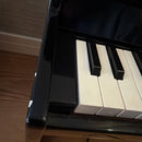 Korg Educational Toys 25
