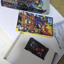 Gameboy Advance Soft
