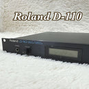 Roland Others D-110 D