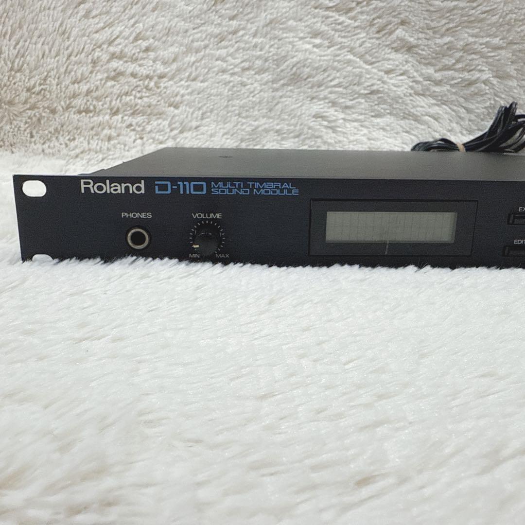 Roland Others D-110 D