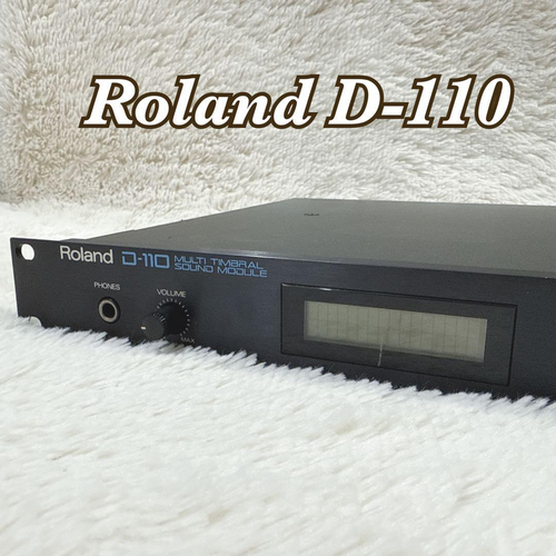 Roland Other D-110 D
