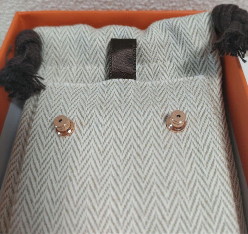 Hermes Earrings (Pairs)