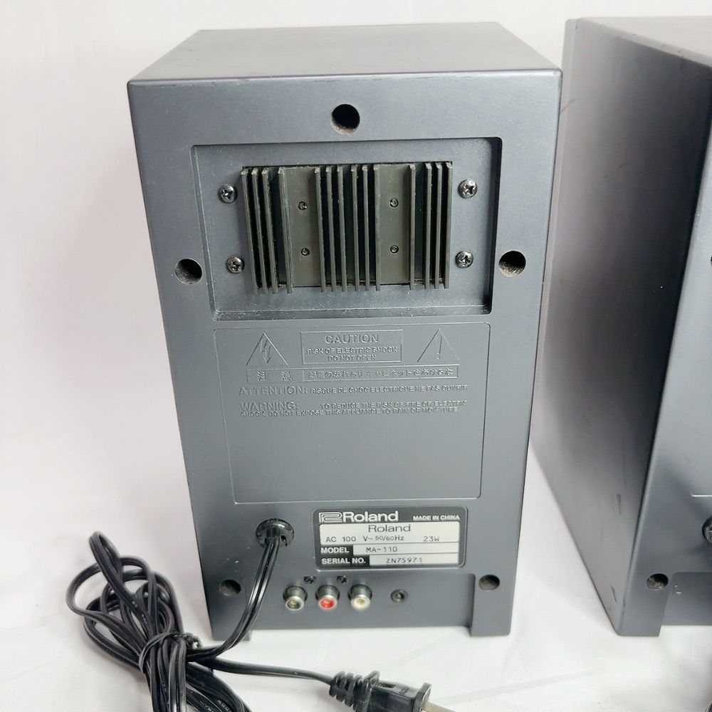 Roland Speaker Ma-110 Ed Dtm Y2K 00S