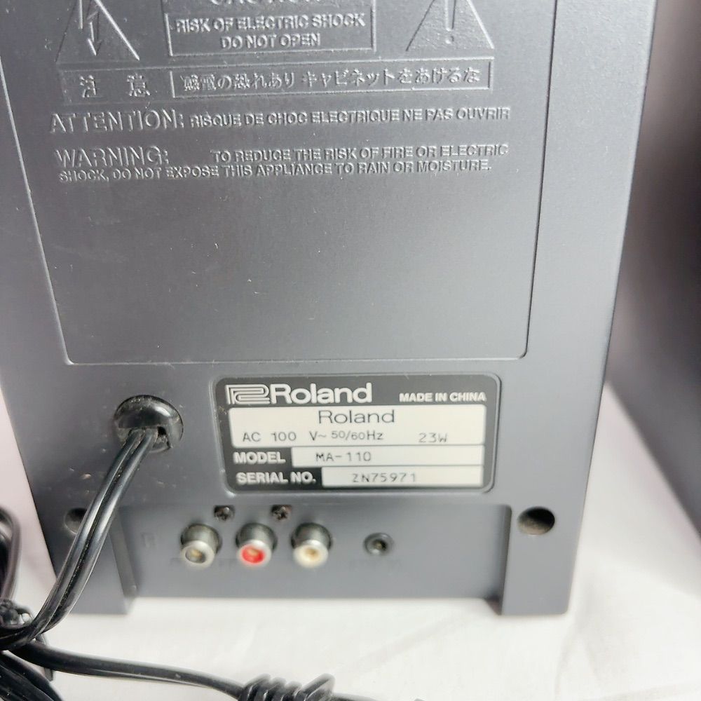 Roland Speaker Ma-110 Ed Dtm Y2K 00S