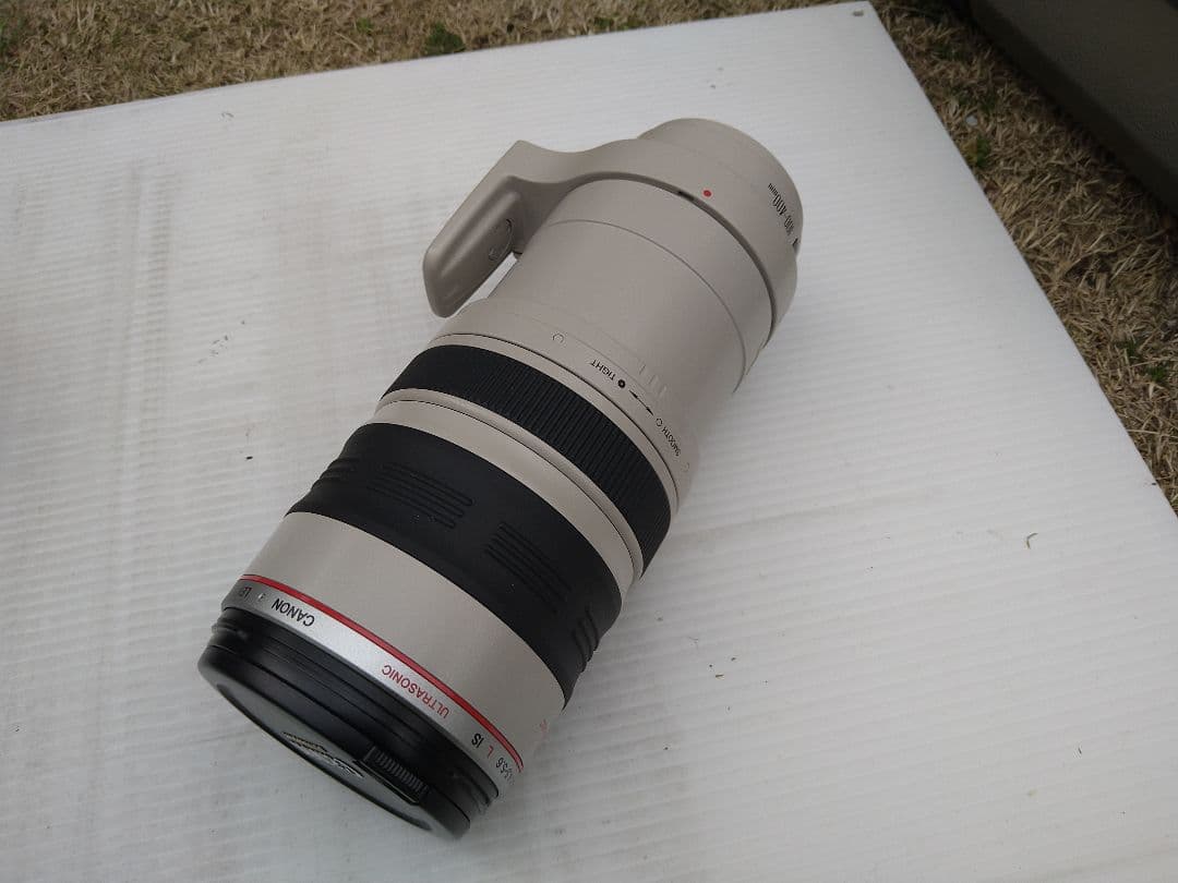 Lens (Zoom) Ef 100-400Mm F4.5-5.6L Is Usm