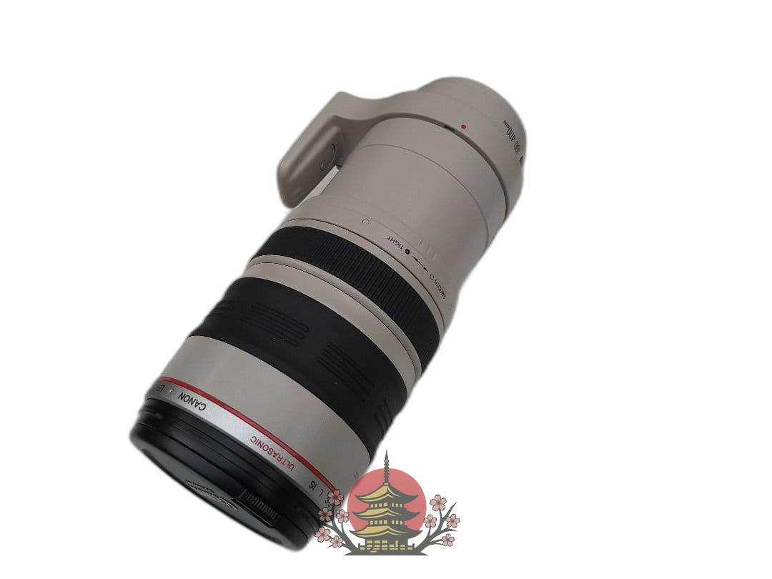 Lens (Zoom) Ef 100-400Mm F4.5-5.6L Is Usm