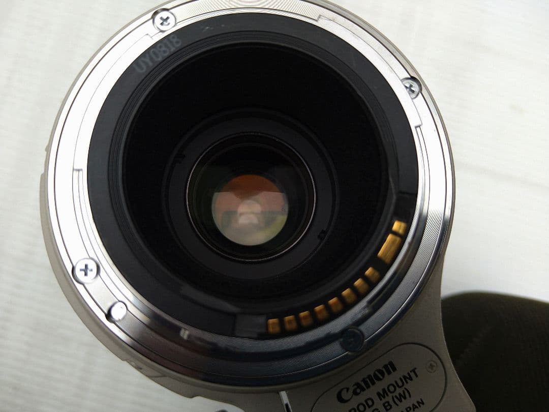 Lens (Zoom) Ef 100-400Mm F4.5-5.6L Is Usm