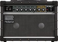 Pick Up Roland/Jc-22 30W