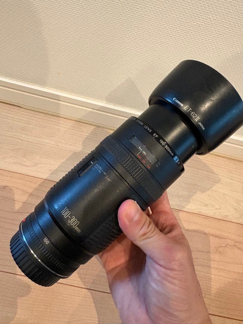 Lens (Zoom) Canon Ef 100-300Mm F5.6 L