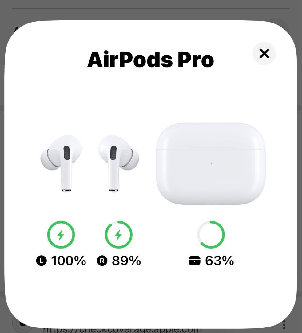Apple Airpods Ipods Pro1